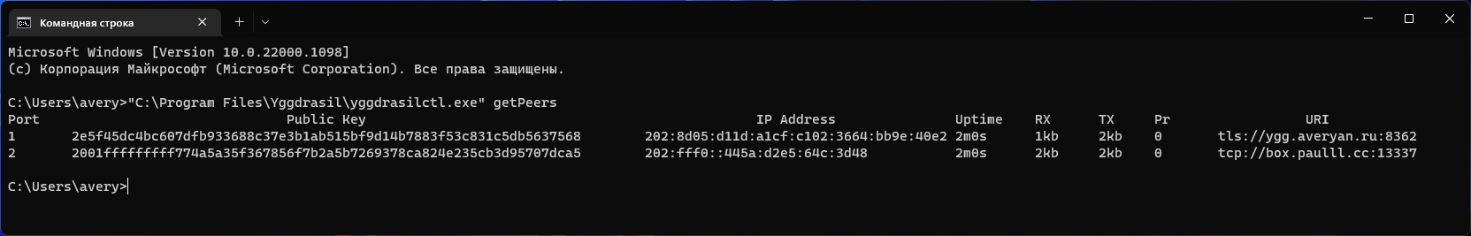 Запуск команды yggdrasil getPeers в Командной строке
Windows