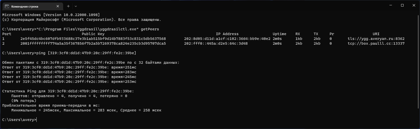 Запуск команды ping для проверки работоспособности Yggdrasil